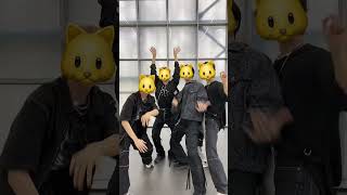 🐱네 전부가 날 끌어당겨🐱 #엔싸인 #nSSign #웜홀 #Wormhole #BIRTH_OF_COSMO #SPICE #스파이스