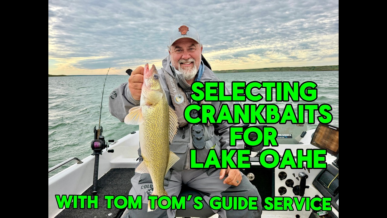 Selecting Crankbaits for Lake Oahe with Tom Tom’s Guide Service