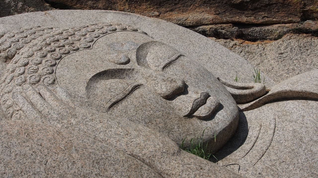 2018 Mongolia 21 Aglag Buteel Khiid