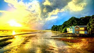 The Beach - Background Video | Copyright Free Stock Video | Sunshine, House, Ses Shore HD Video Free Resimi