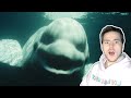 Fish Biologist reacts to "Mysterious Creatures" by Chills