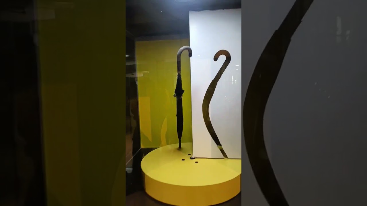 Raman vigyan Kendra| Science exhibition|Science experiment|Science | gravity 