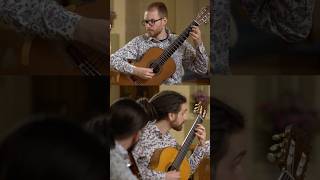 Ravel on Guitar ❤️