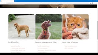 Chatham 90 - Pet Adoption and Pet Resources
