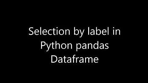 selection by label in python Pandas DataFrame