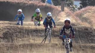 2017JOSFオープニングレース/BMXミルキー8クラス決勝
