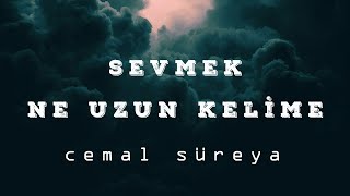 Cemal Süreya - Sevmek Ne Uzun Kelime