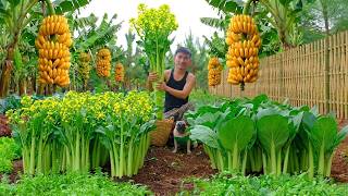 Harvest Choy Sum, Choy Sum Greens And Bananas To Sell At The Market – Daily Cooking – Gardening