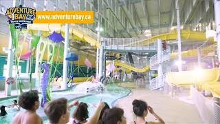 Adventure Bay Reveal