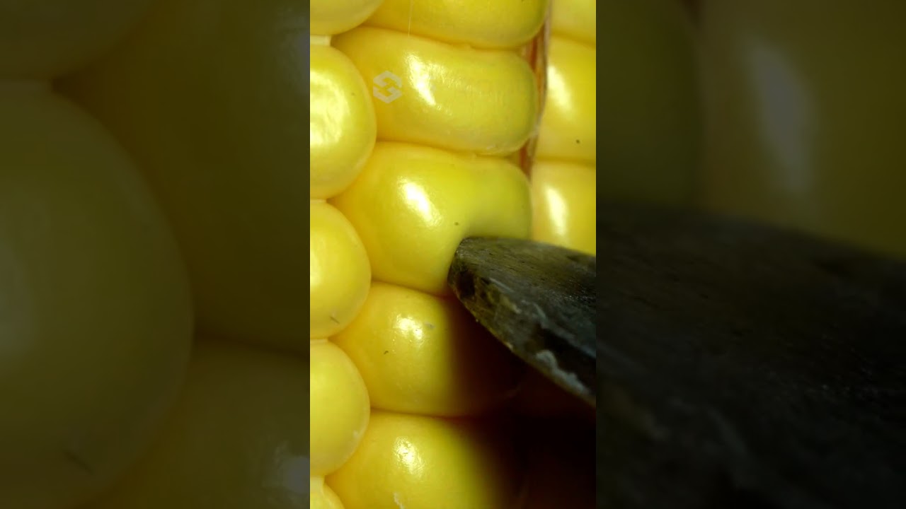 Close up crushed corn kernels #macro #asmr #shorts