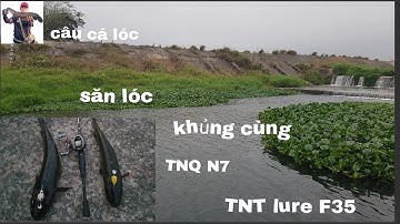 Phần 1.(Tập 1):hành trình săn cá lóc khủng. Với nhái hơi N7 TNQ và F35 TNT lure.Taiwan.đài loan.