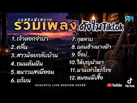 รวมเพลงอคูสติกCover ฮิตในTiktok 2025 l เจ้าดอกจำปา + คลื่น , สาวน้อยกลับบ้าน , ถนนค้นฝัน