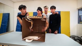 INSANE WHAT'S IN THE BOX CHALLENGE!