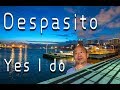 【鬼畜】Despacito  韓總cover