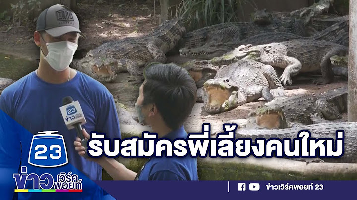 คนเก่าหายไปไหน ฟาร์มจระเข้รับสมัครพี่เลี้ยงคนใหม่ l บรรจงชงข่าว l19 ก.ย.65