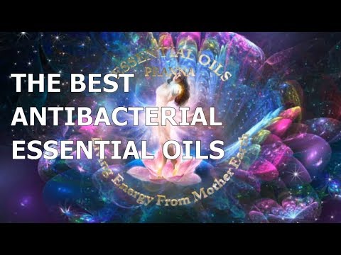 THE BEST ANTIBACTERIAL ESSENTIAL OILS. USES OF ANTIBACTERIAL ESSENTIAL OILS