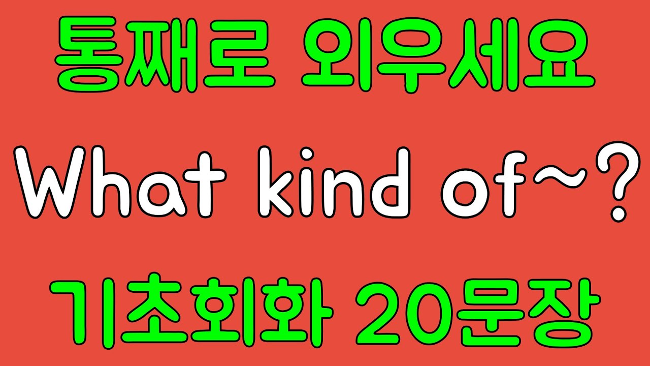 [영어 패턴 훈련 #30]What kind of~? 패턴 20문장 통째로 외우기! 입트이는 영어 5분 완성 | 왕초보 영어회화