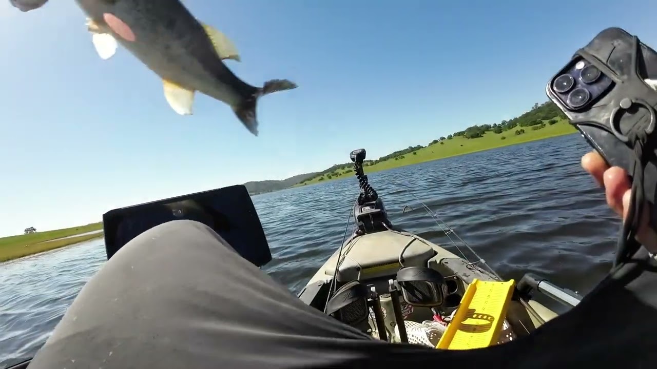 Salt Springs Bass Fishing