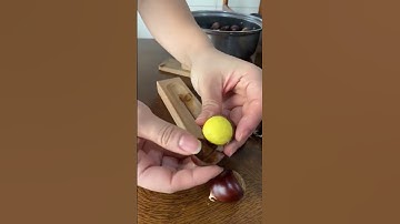 Chestnut Opening Made Easy!