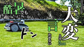【ロボットカメラ】たったの15分!ワイヤー不要のロボット芝刈り機