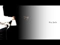 Hey Jude - The Beatles karaoke cover