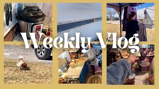 Grocery HAULS – potato salad – chitchat – channel update.