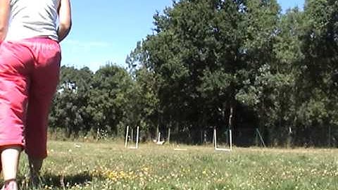 slalom couloir / set point exercise 2 / straight-line equal-distance grid 1 puppy jumping Susan Salo