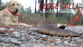 Scouting Public Land Hogs & Hiking The Florida Scrub by Clay Hayes 20,812 views 2 months ago 22 minutes