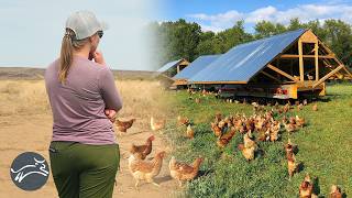 The Untold Struggle Behind The Pastured Poultry Movement