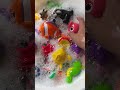 DISCOVER SEA ANIMAL NAMES AND FACTS| LEARN OCEAN ANIMAL FACTS WITH COOL TOYS| EDUCATIONALS VIDEOS