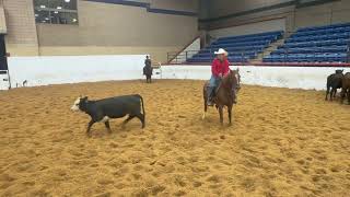Reyykish-July 2026 Cow Work Update