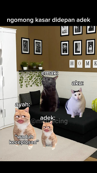 ga perlu tes DNA🤣 #meme #memekucing #kucing #kucinglucu #shorts #catlovers