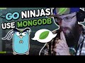 Only REAL Go Ninjas Use MongoDB | #feurious