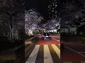 POV Drive Tokyo 🇯🇵 | Tokyo Midtown Sakura Night