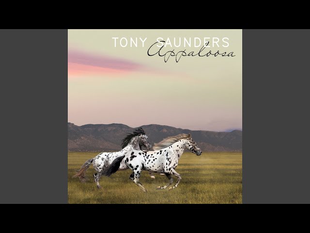 Tony Saunders - We Belong Together