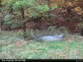 Old Church Hollow Road
