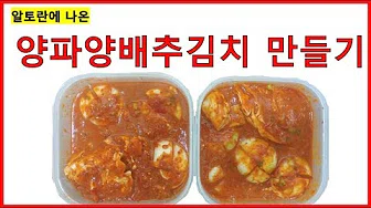 양배추양파김치