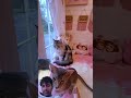 लड़की का नया घर~🏠। ladki ka nya ghar #kdrama #funny #viral #video