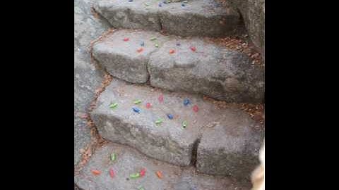 The Swarm (HEXBUG Nano)