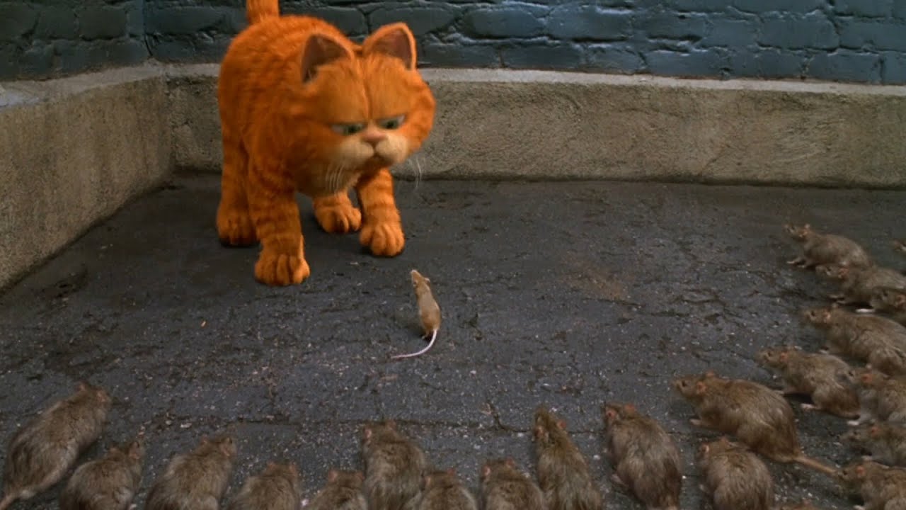 猫咪好心放过一只老鼠，老鼠带着兄弟回来报恩，一部动物喜剧电影