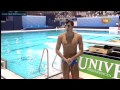 Men 1 metre springboard Final, Diving, European Aquatics Championships Eindhoven 2012 (1/6)