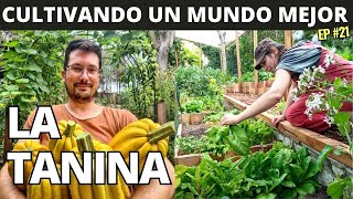 Sembrando Semillas de Conciencia: Cultivando un Mundo Mejor | La TANINA | EP 21 by Manos de Tierra 8,229 views 7 months ago 30 minutes
