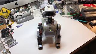 Repairing Broken Aibo ERS111 Legs