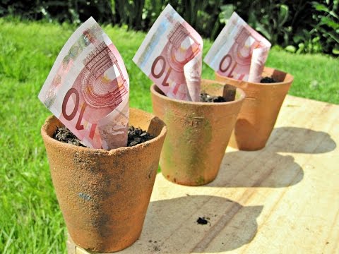 Invertir Dinero - Por qué todos deberíamos hacerlo dinero fiduciario