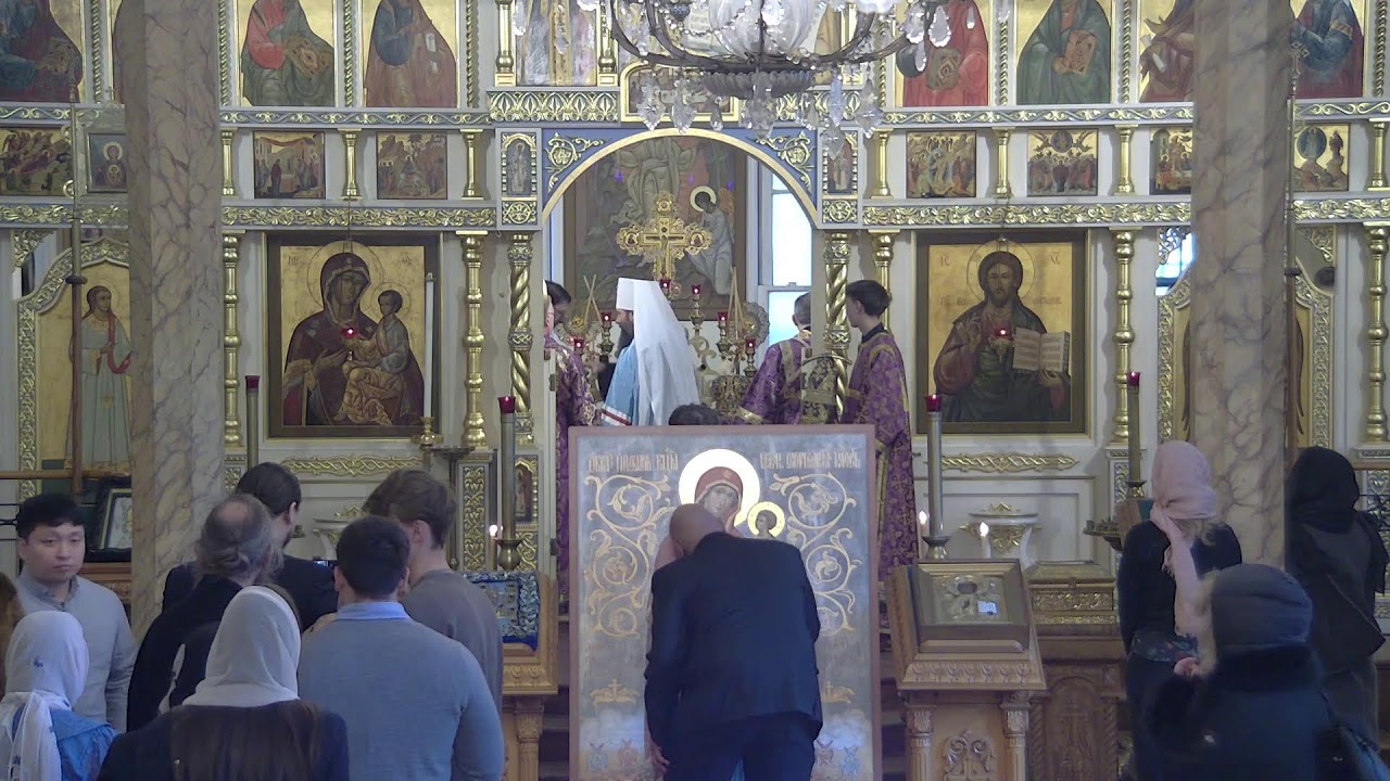 Synodal Cathedral of the Sign Live Stream