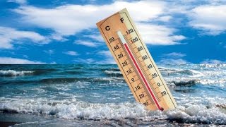 Глобальное потепление климата, динамика экосистем Глобальное потепление климата, динамика экосистем
