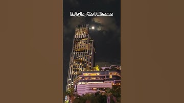 Thumbnail of Enjoying The Full moon #cute #diy #handmade #cat #travel #hongkongstreet #design #hotel #musicgenre