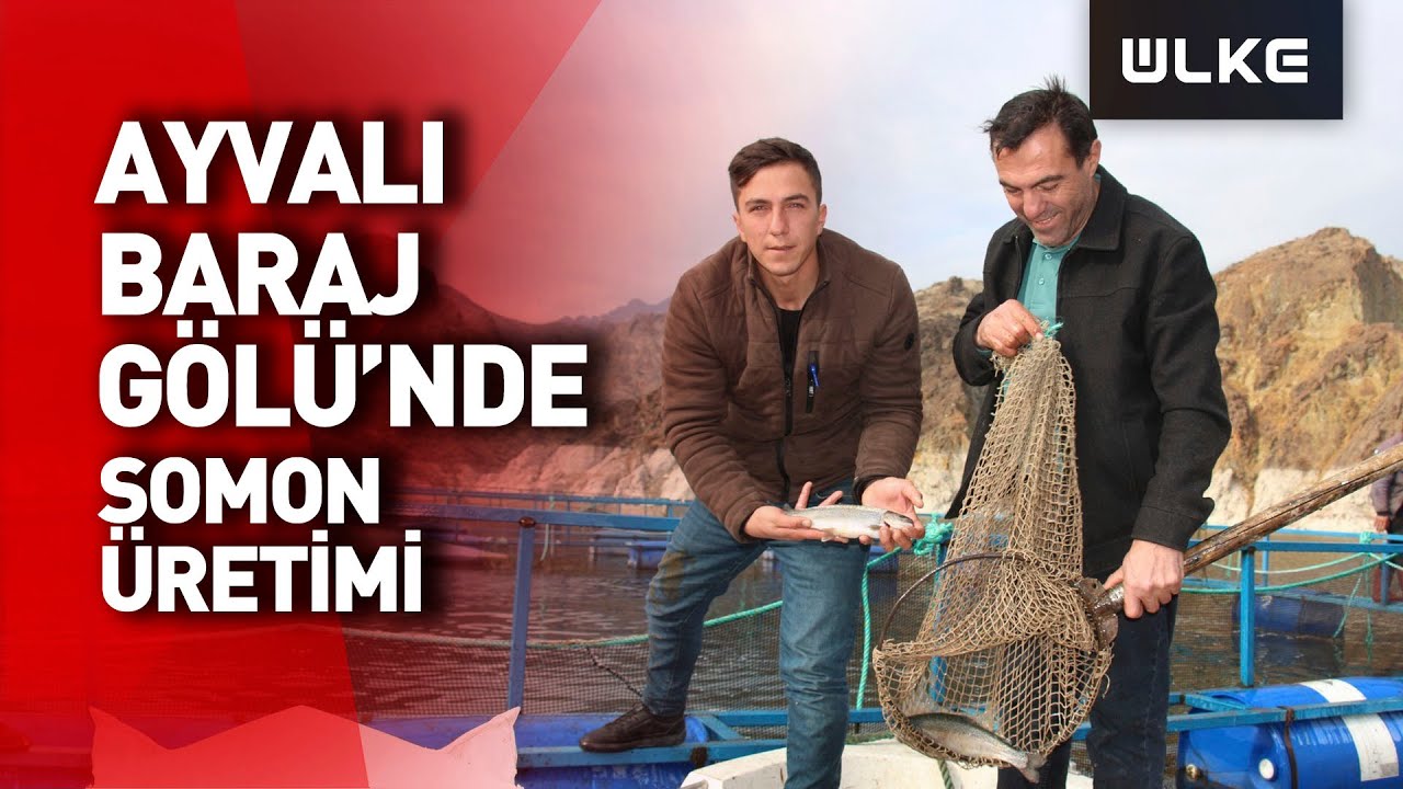 Ayvalı Baraj Gölü'nde alabalık ve somon üretimi, balıkçıların yüzünü güldürüyor
