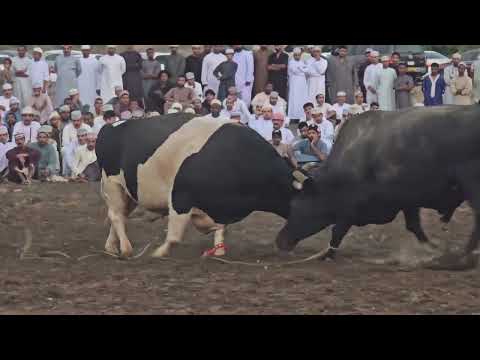 الهاون و الباون حايط بطحاء السويق ١٥ 