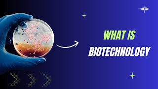 Introduction to industrial biotechnology in 2 minutes (Lecture included)